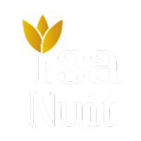 Logo Ysa Nuit